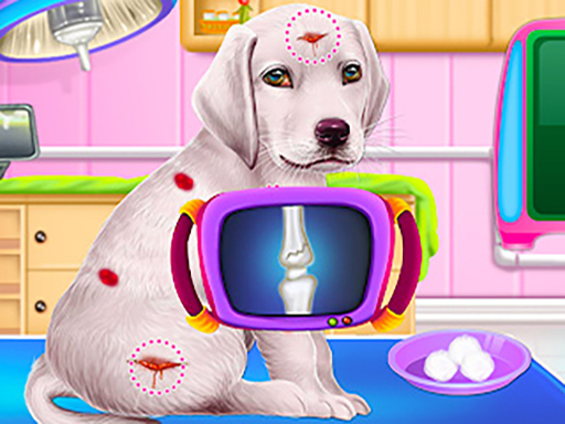 You are currently viewing Labrador Puppy Daycare Salon