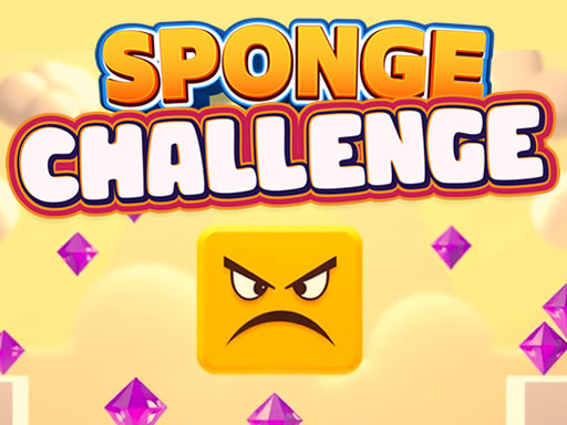 You are currently viewing Sponge Challenge